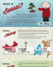 Bonsai Tree Facts