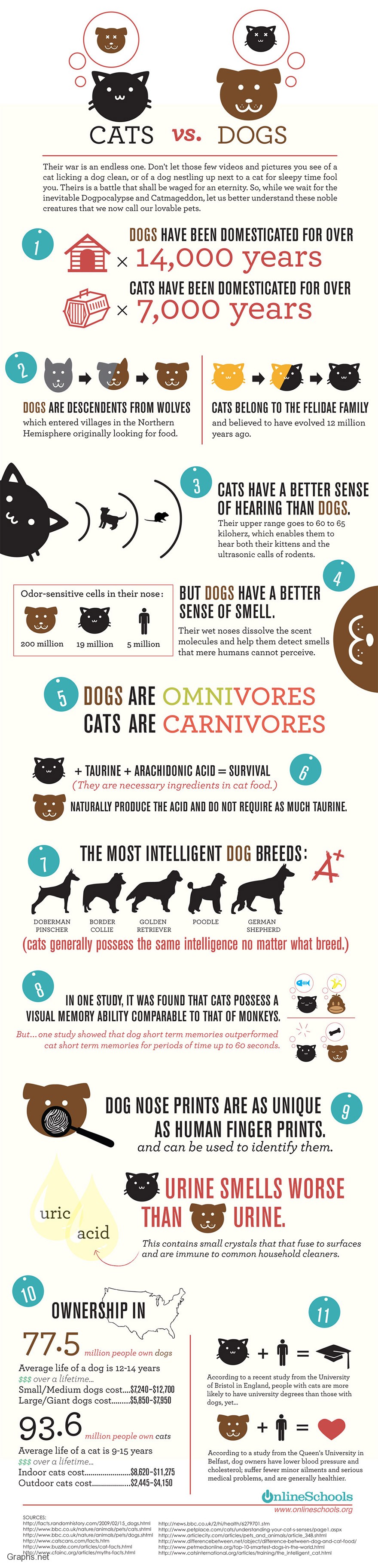 Top Infographics Cats Vs Dogs Infographics Graphs