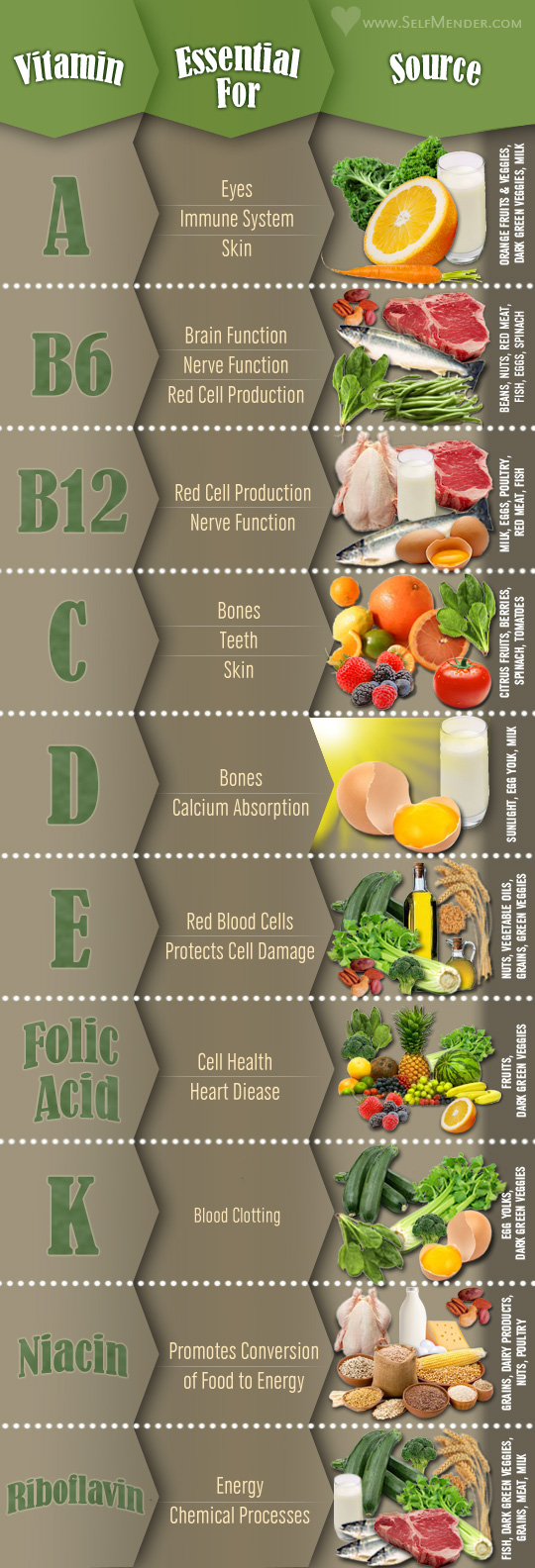 Vitamins and Their Food Sources - Infographics | Graphs.net