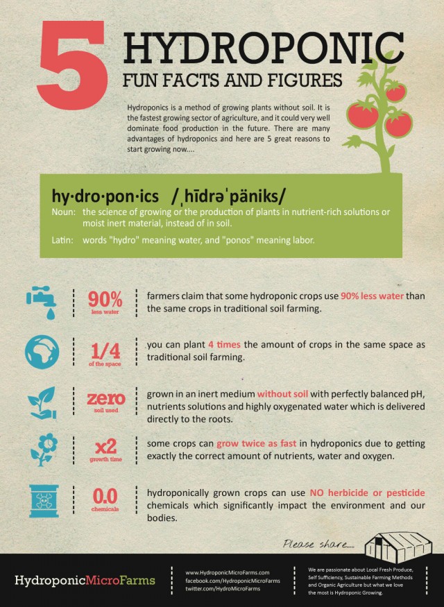 Top 7 Gardening Infographics | Infographics | Graphs.net