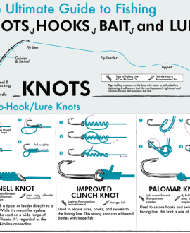 fishing knots Archives - Infographics by