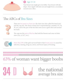 national average bra size Archives - Infographics by