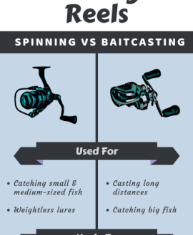 spinning reels Archives - Infographics by