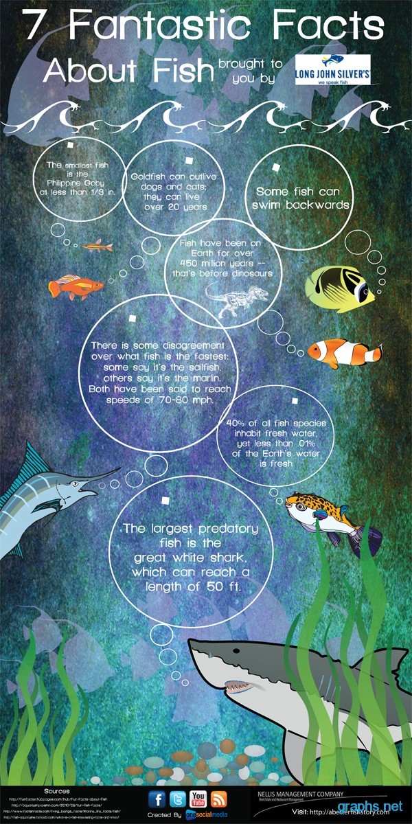 interesting facts about fish