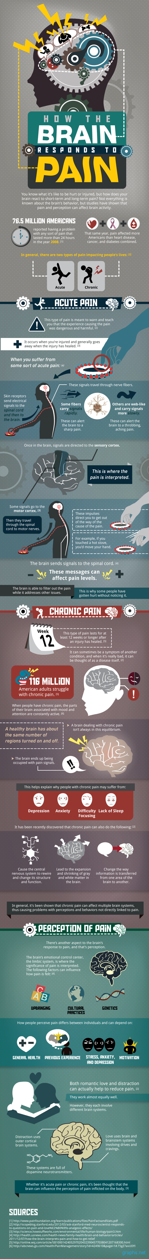 How the Brain Reacts to Pain?
