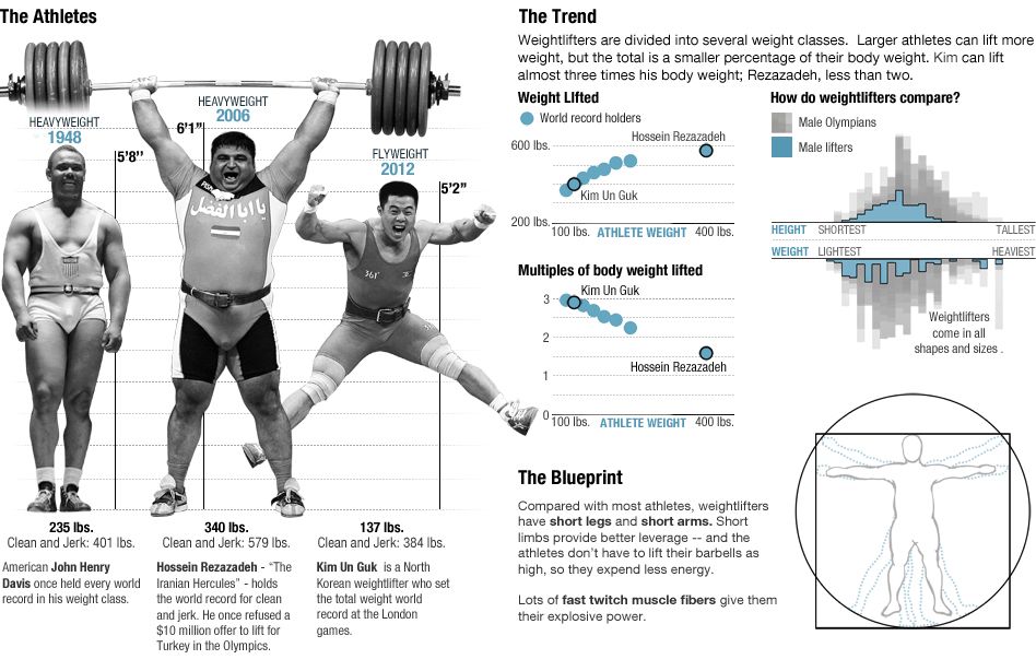 Olympic Bodies Physics Infographic