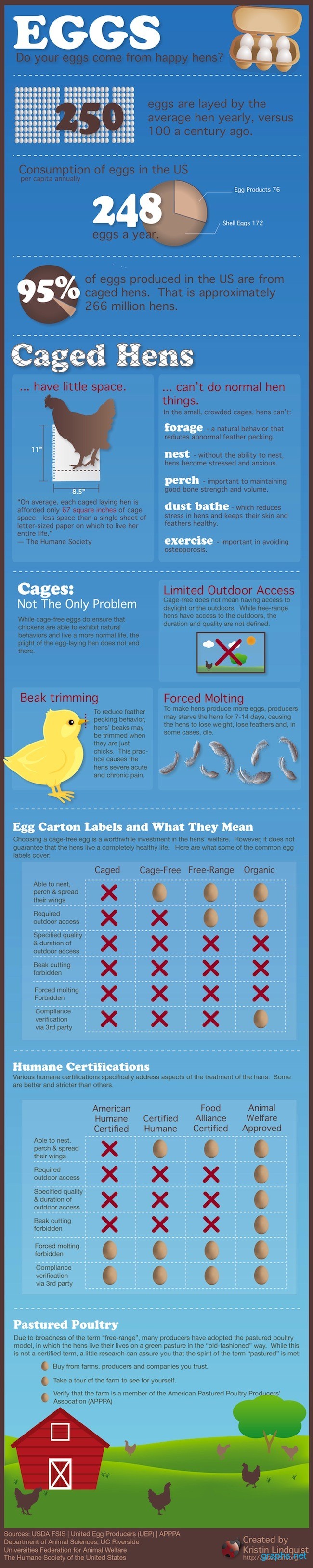 Where do Hen Eggs Come From?
