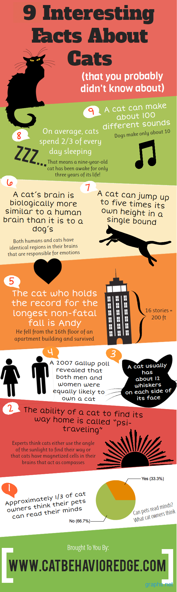 9 Amazing Facts About Cats