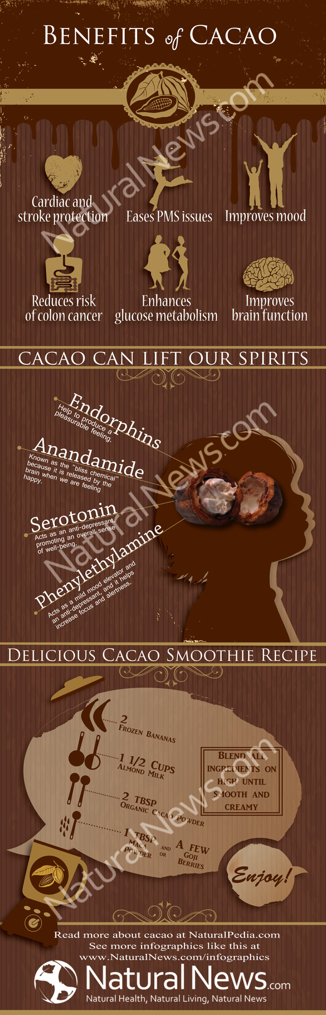 Cacao Health Benefits