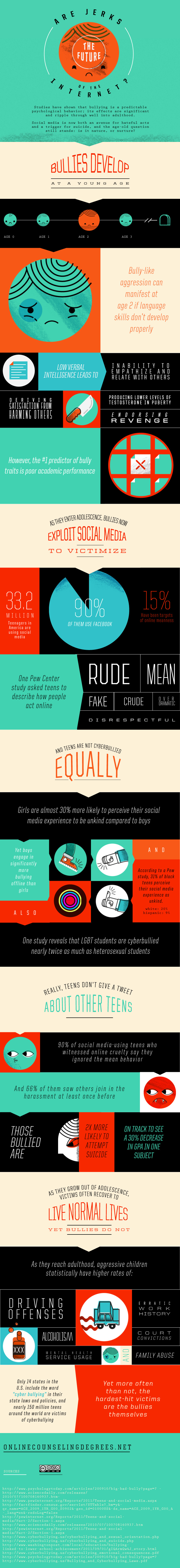Facts about Internet Bullies