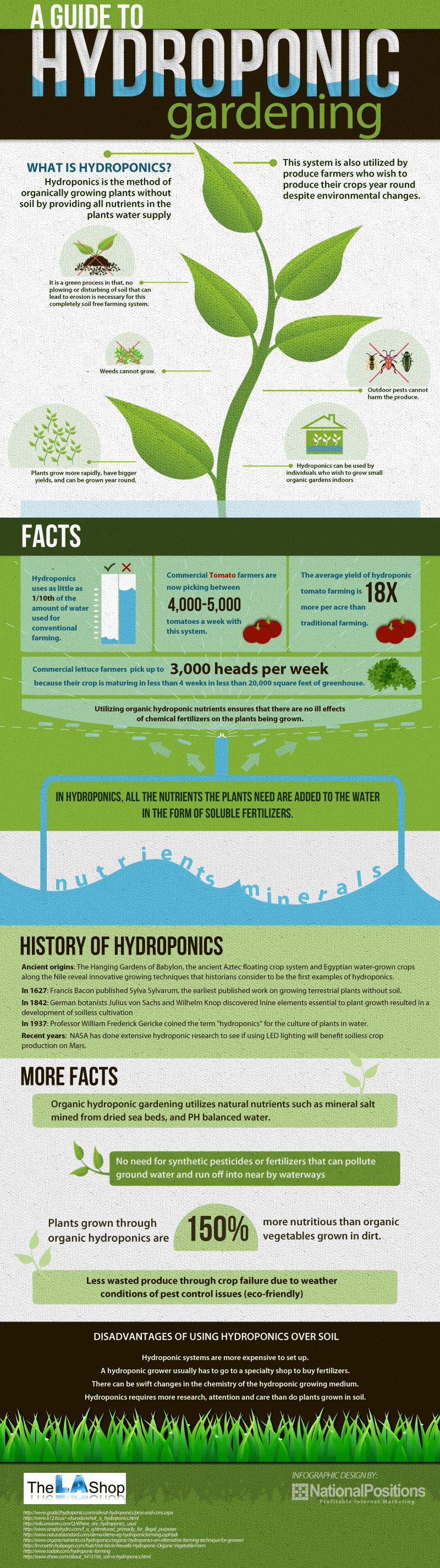 Pros and Cons of hydroponic farming