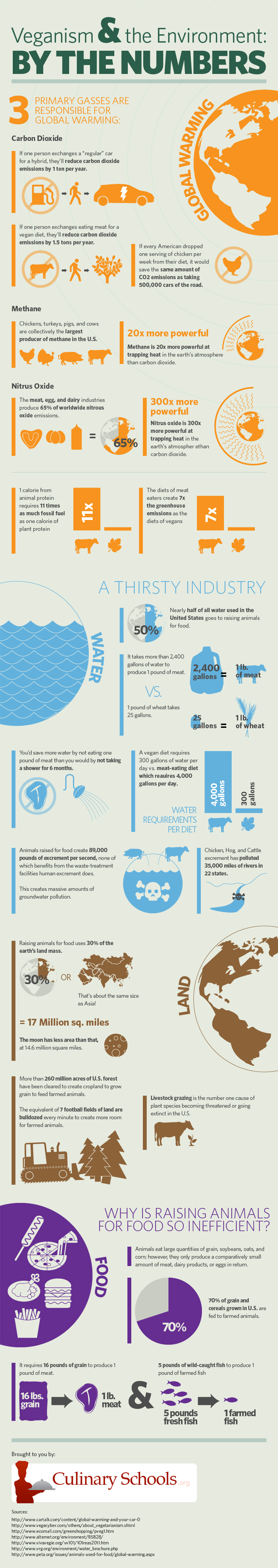 How Veganism and the Environment are linked 