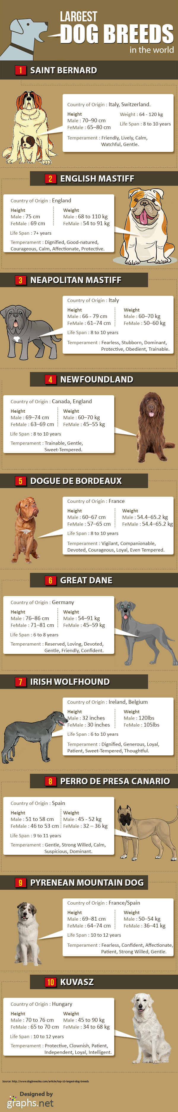 Largest Dog Breeds in the World