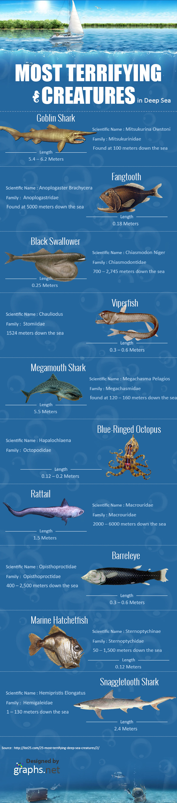 Most Terrifying Creatures in the Deep Sea