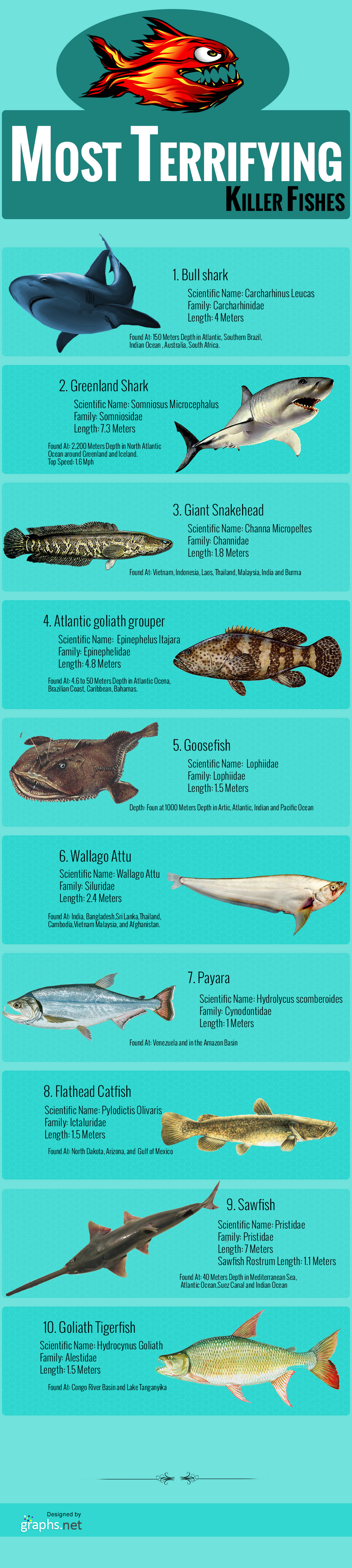 Most Terrifying Killer Fishes 