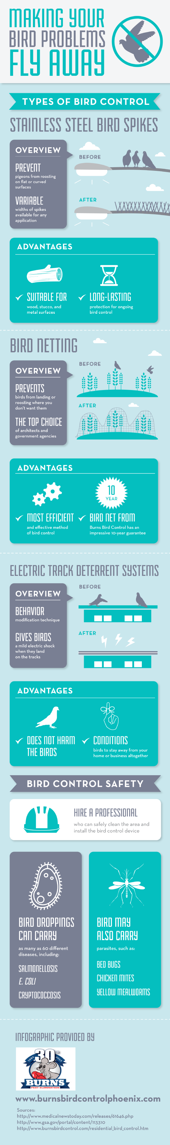 Ways To Achieve Bird Control Safety