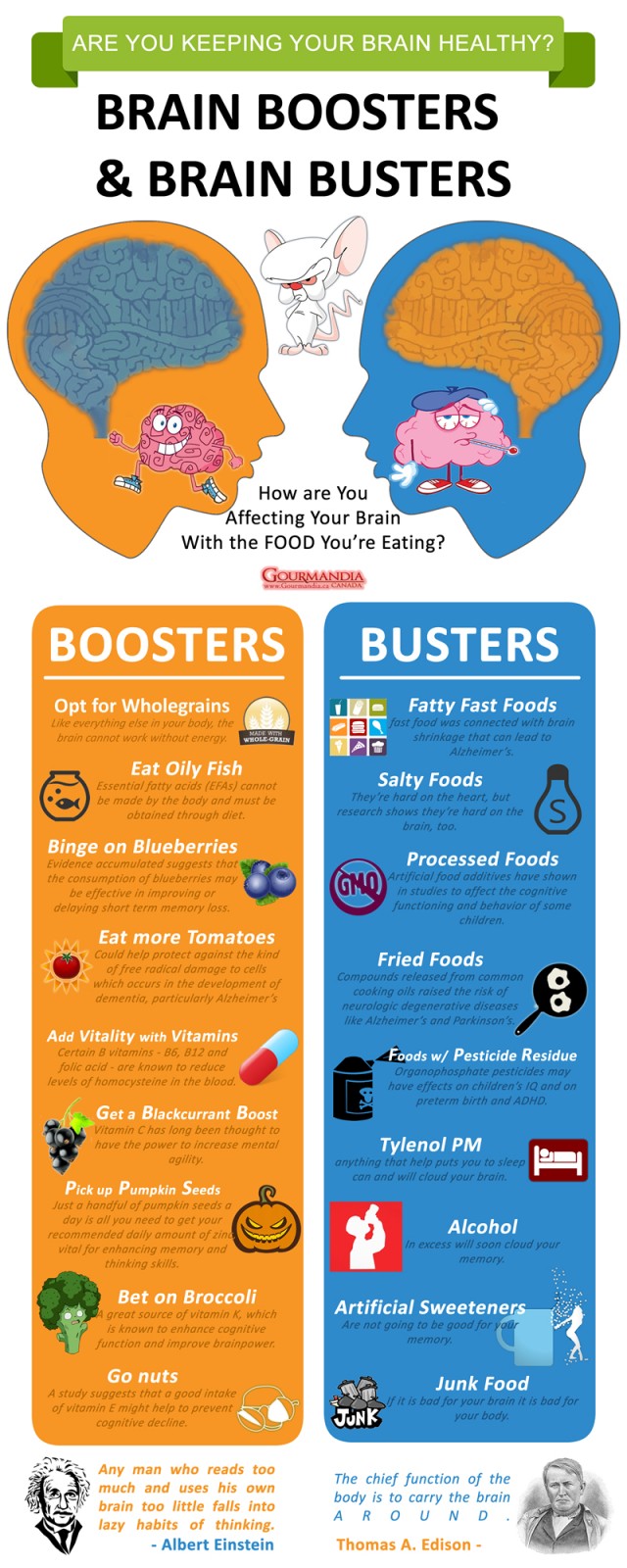 brain-boosters-and-brain-busters_523ac6280e90f-640x1600