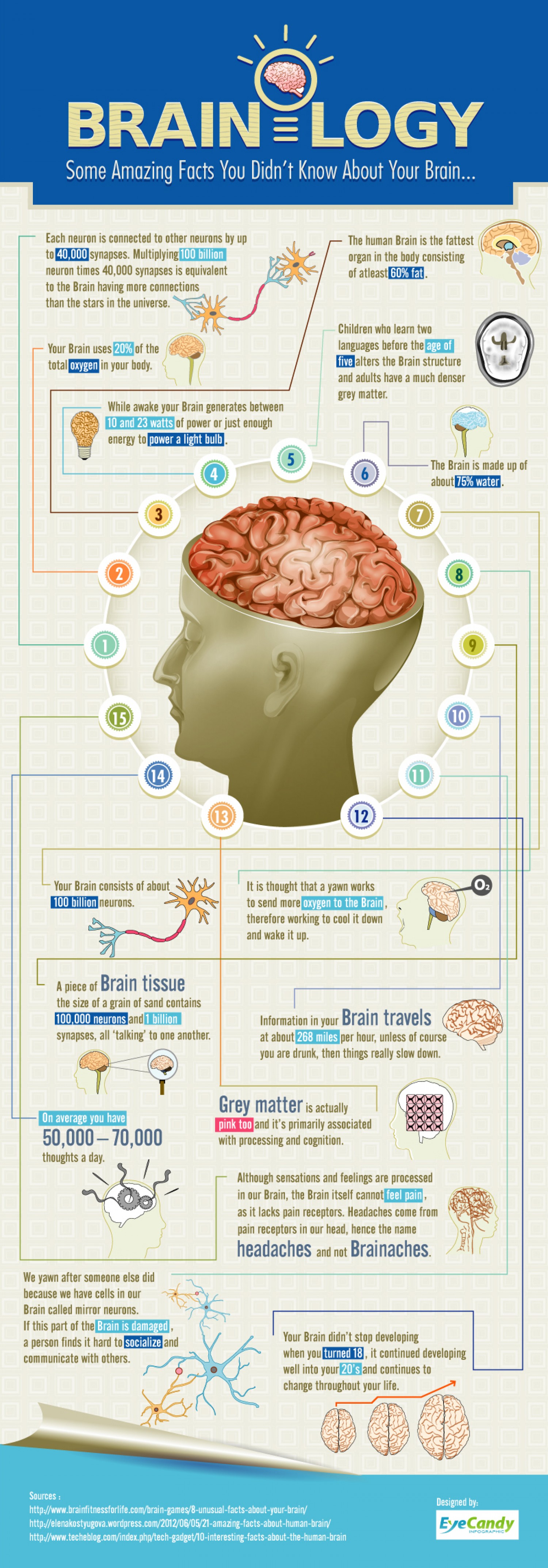 8 Unsual Facts About Your Brain