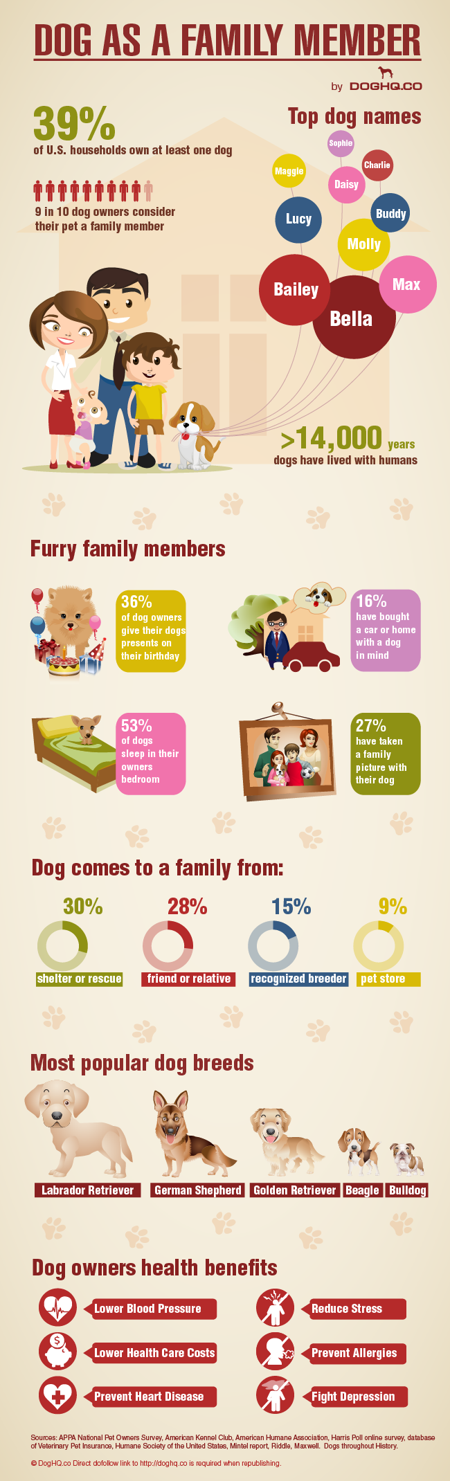 Dog as a family member
