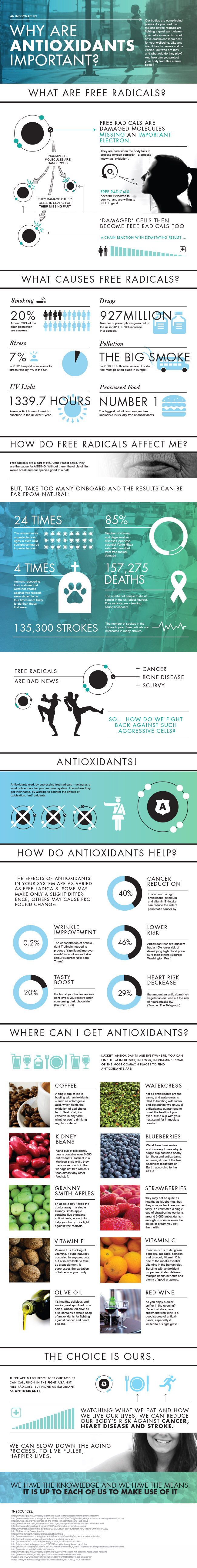 Importance of Antioxidants