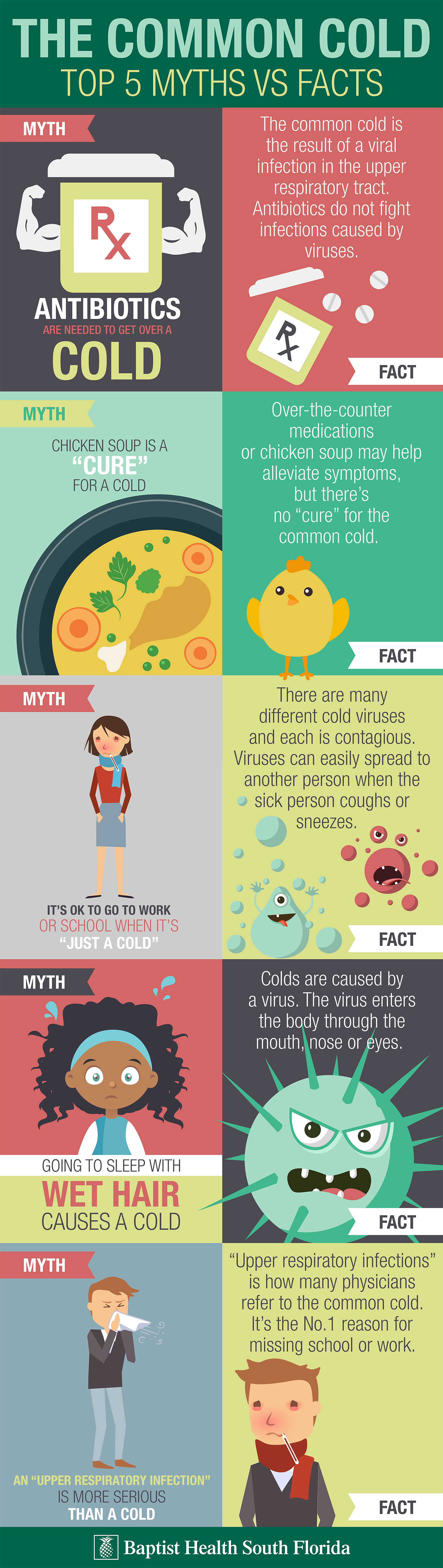 Common Cold Myth and Facts Infographic