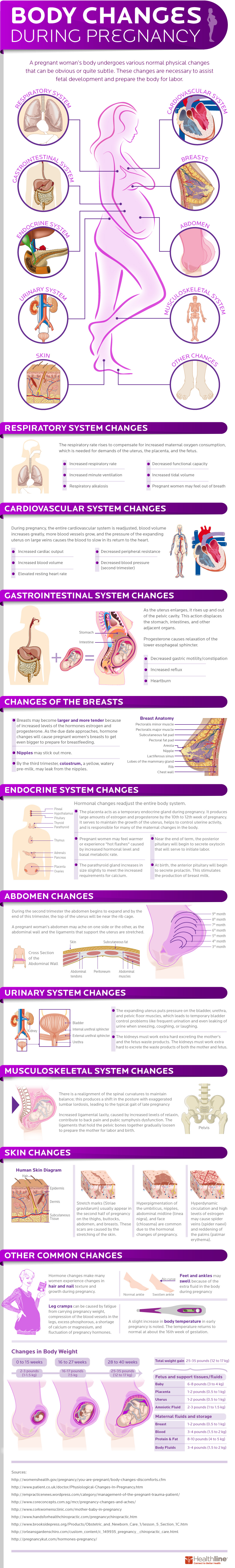 16 pregnancy-body-changes