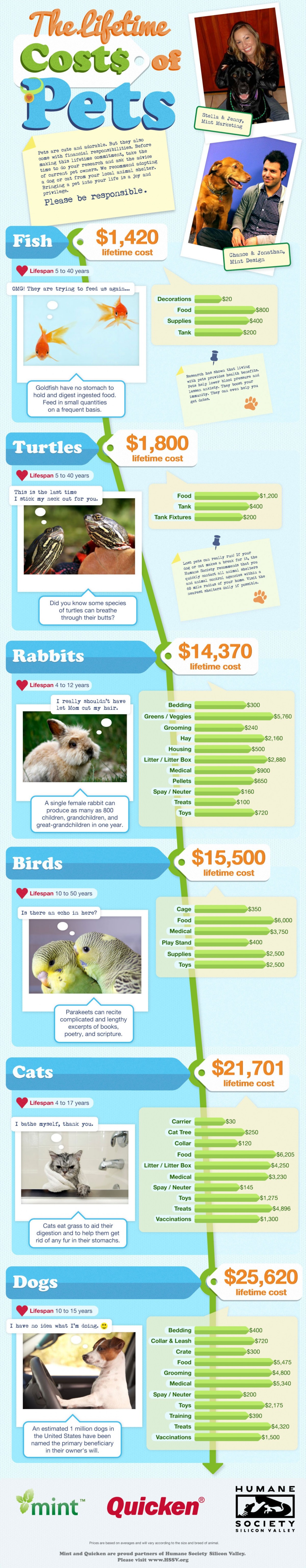The Lifetime Costs of Pets