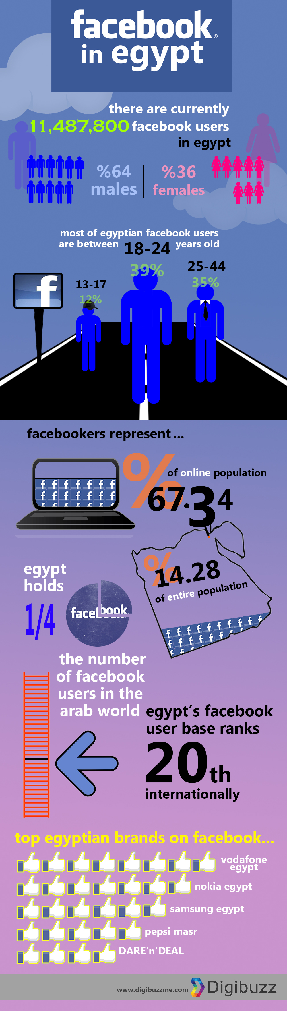 Facebook in Egypt