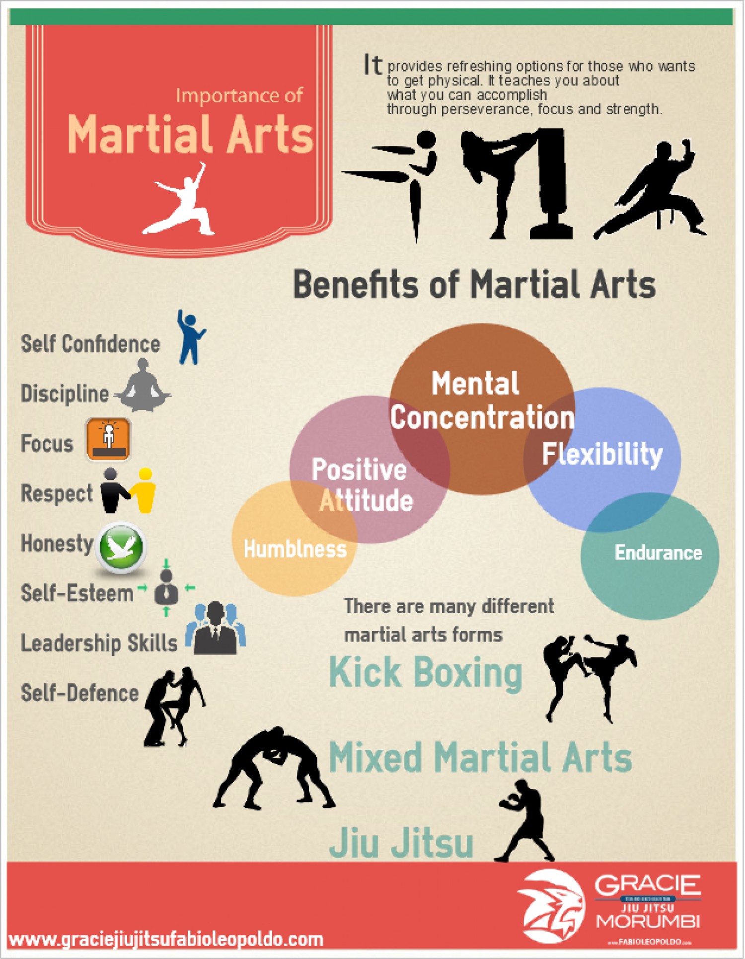 Martial Arts Infographic
