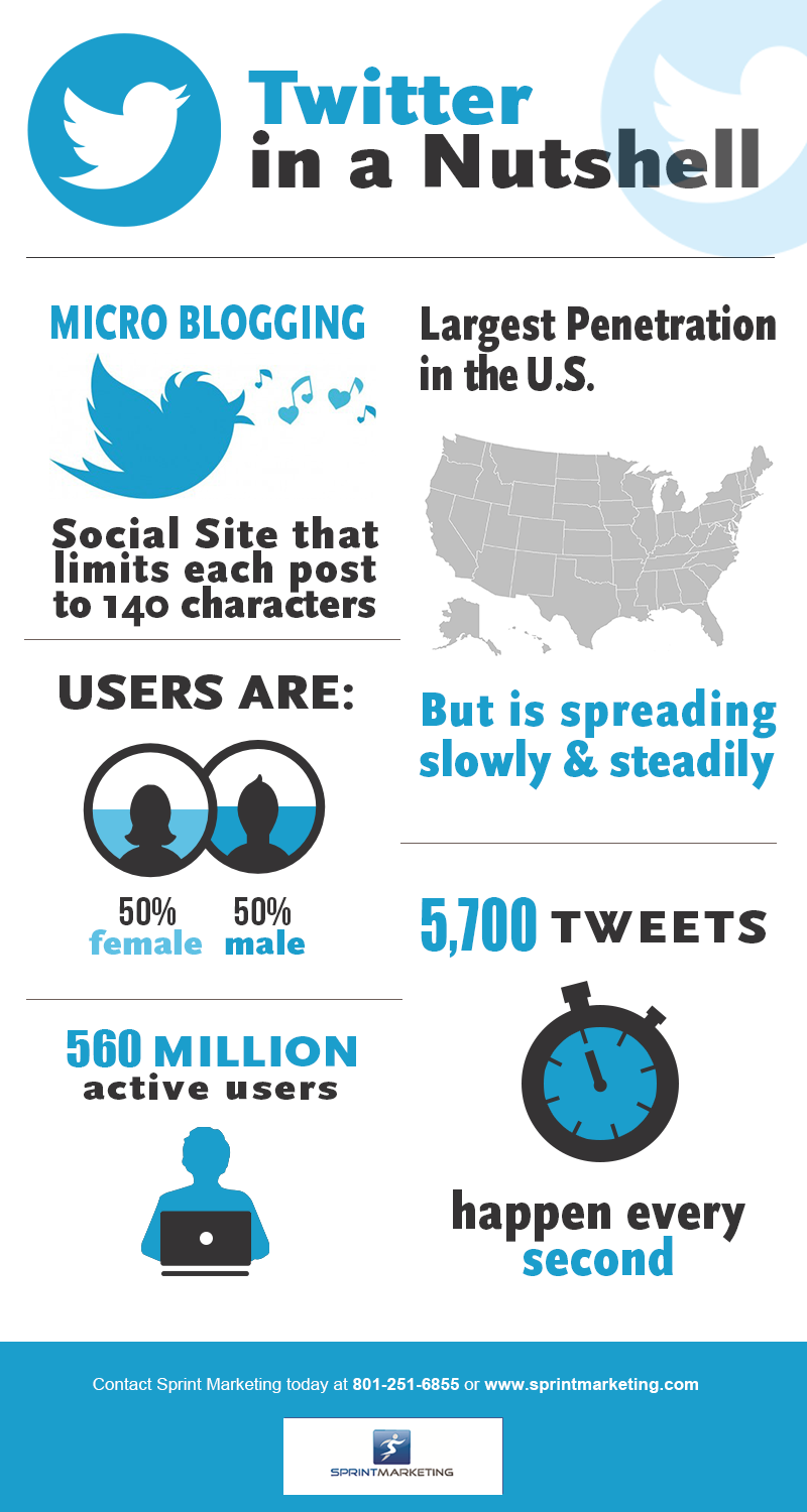 Twitter in a nutshell infographic