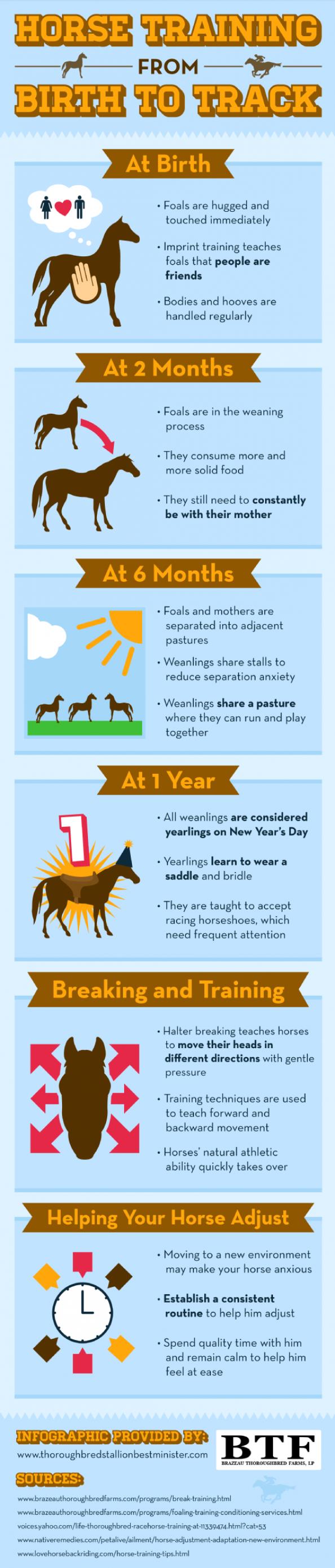 14. Horse Training from birth to track