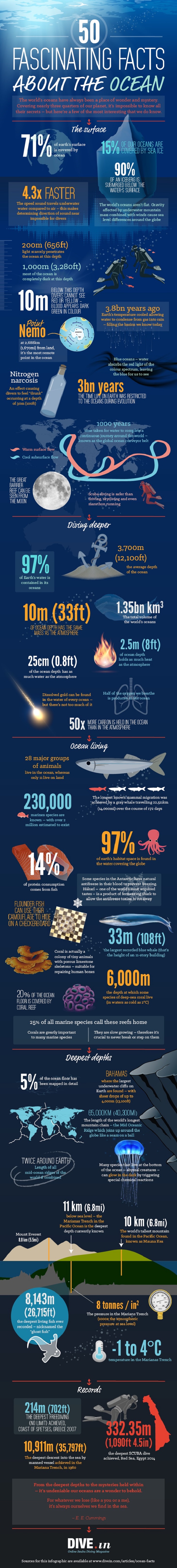 Facts about ocean Infographic