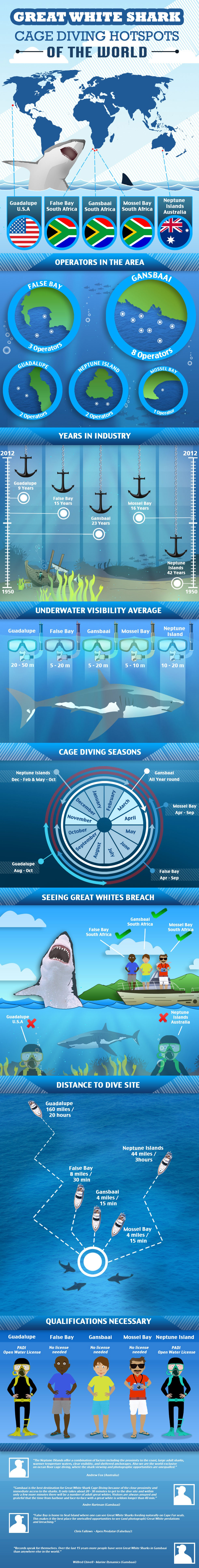 White Shark Infographic