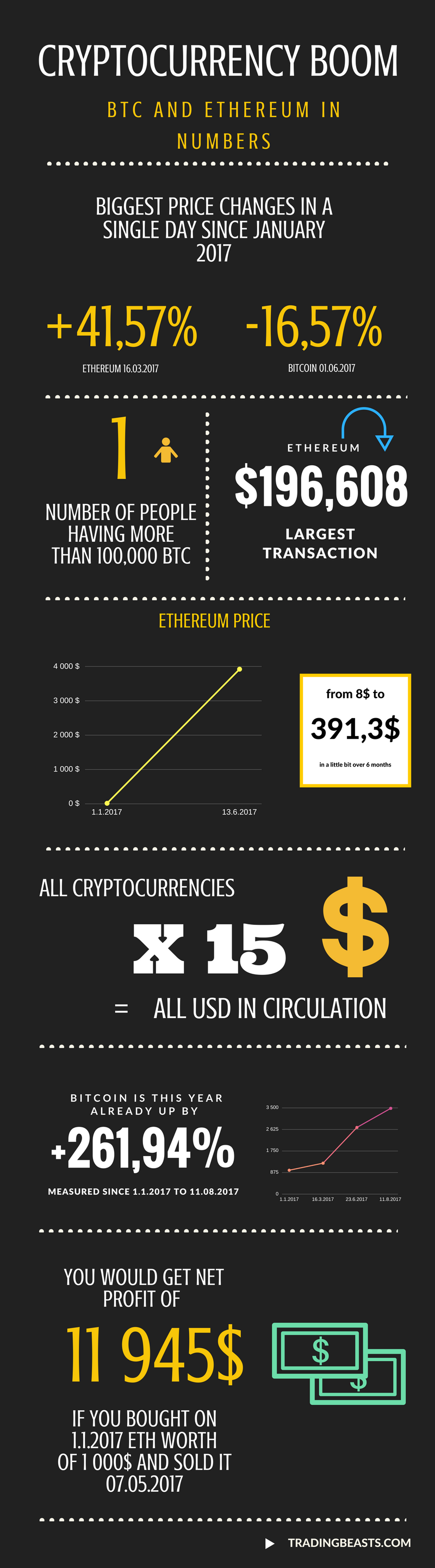 Cryptocurrency Infographic