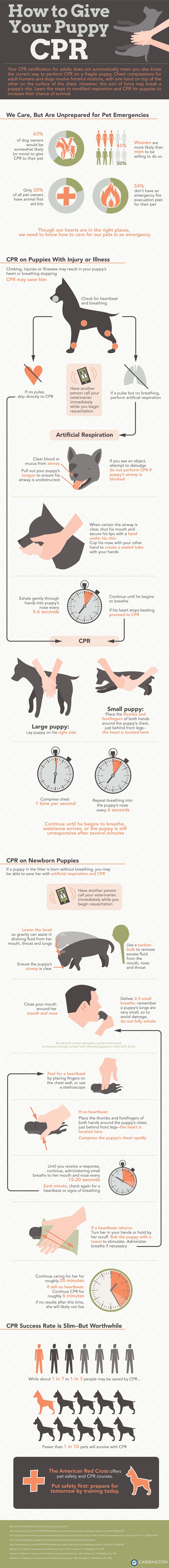  how to give your puppy cpr infographics