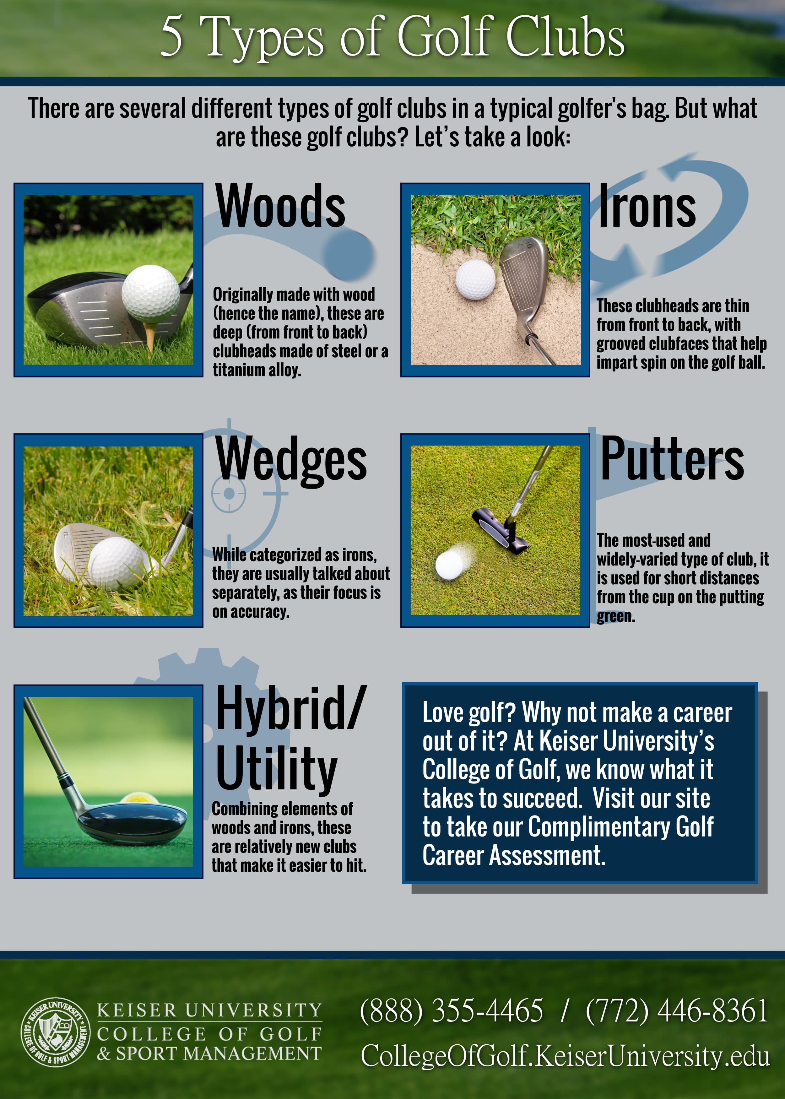 Golf Clubs Infographics