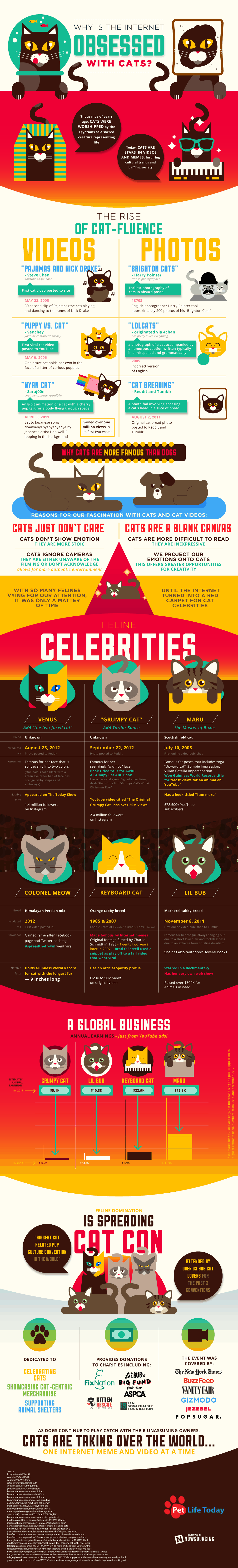 internet is obsessed with cats infographic