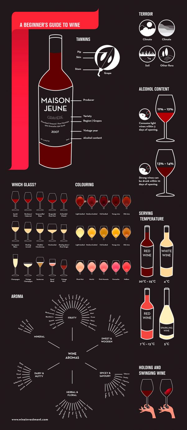 A Beginners Guide To Wine Different Types Of Wine And Their Taste 4223