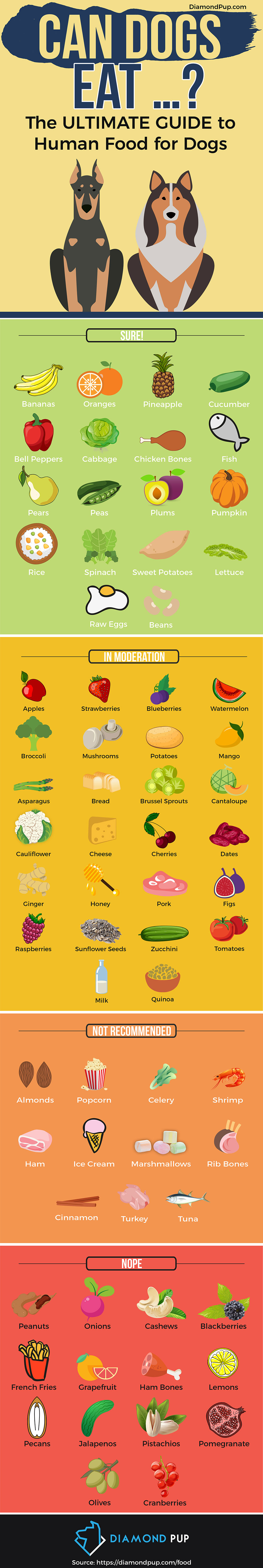 human food for dogs infographic