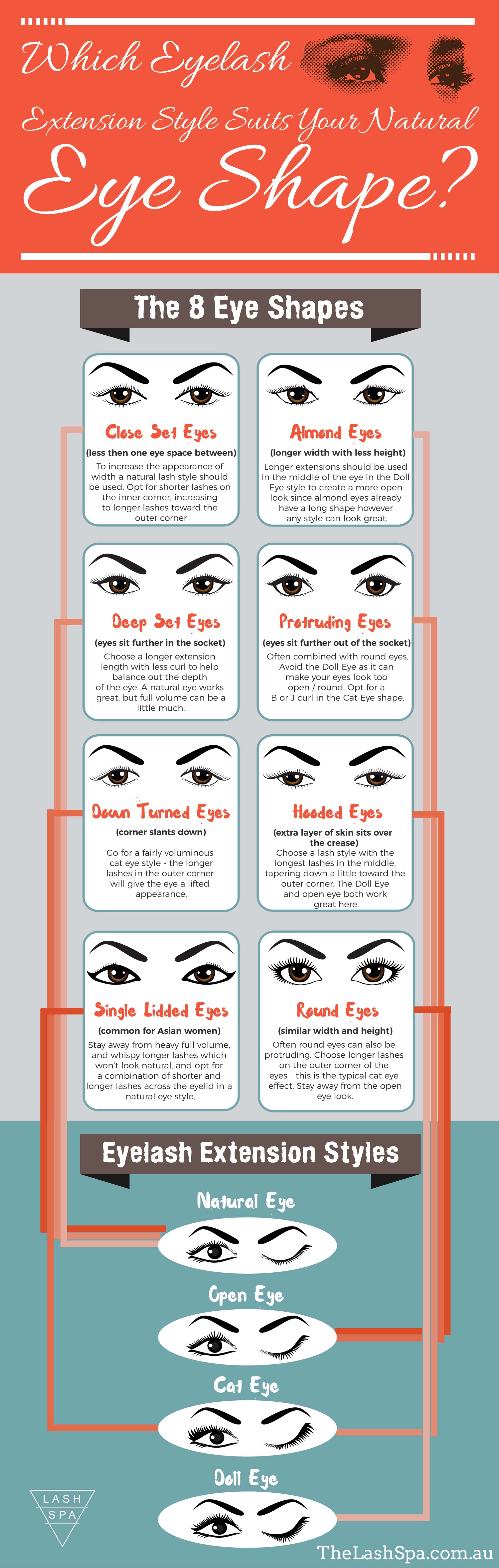 Eyelash Style Infographic