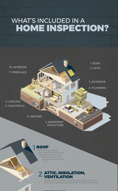 Mold Inspection And Testing