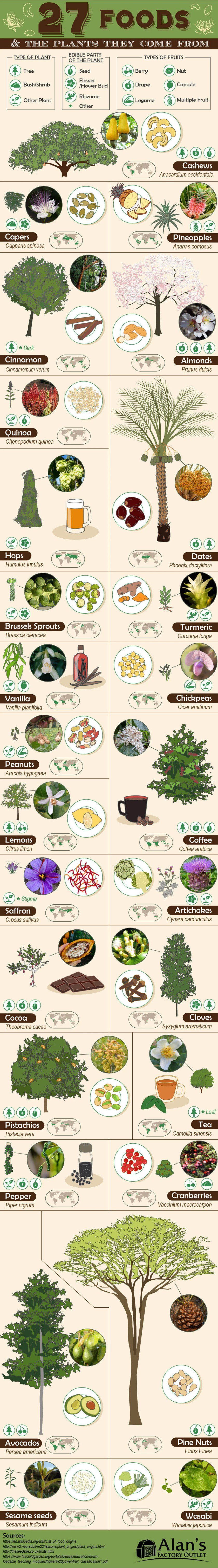 27 foods plants they come from
