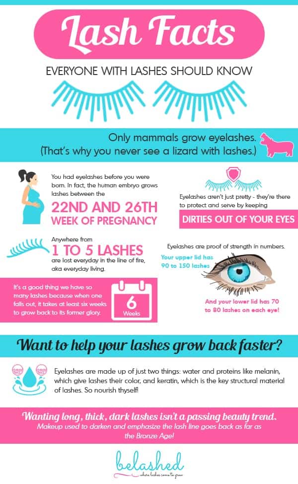 Eyelash Facts