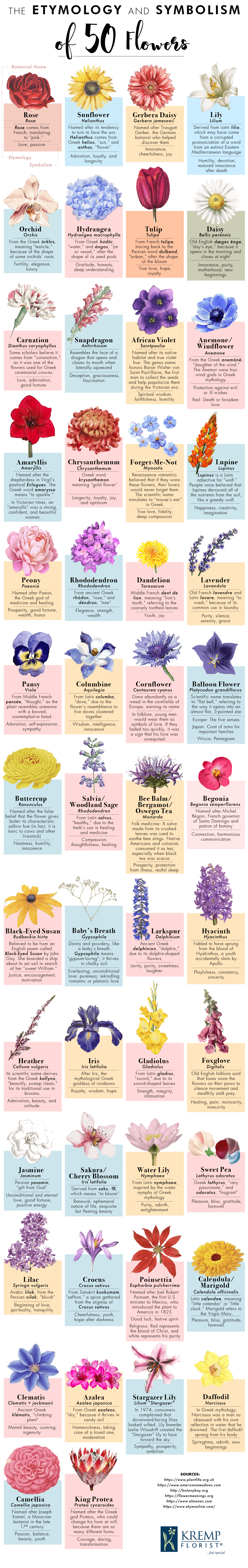 Here Are the Meanings Behind 50 Common Flowers in One Chart ...