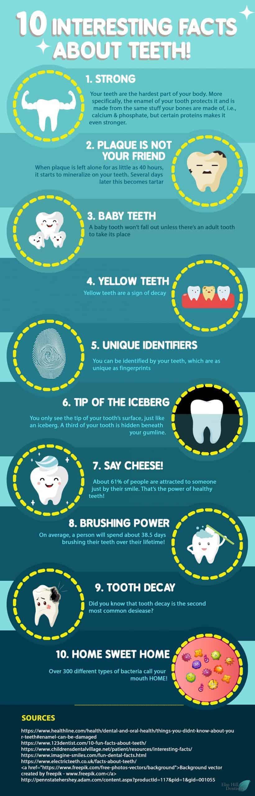 10 Interesting Facts About Your Teeth