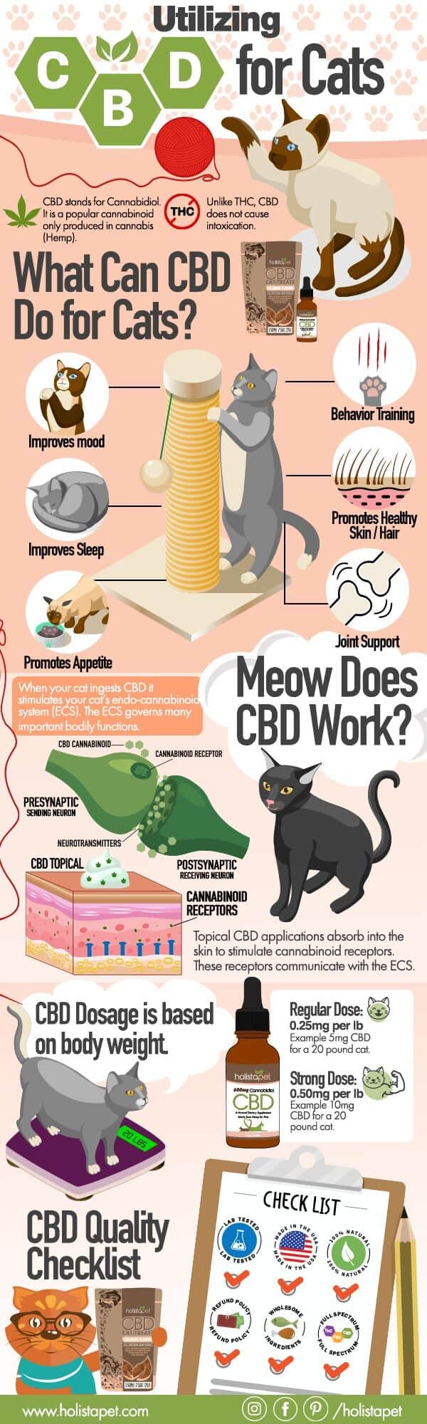 Utilizing CBD for Cats