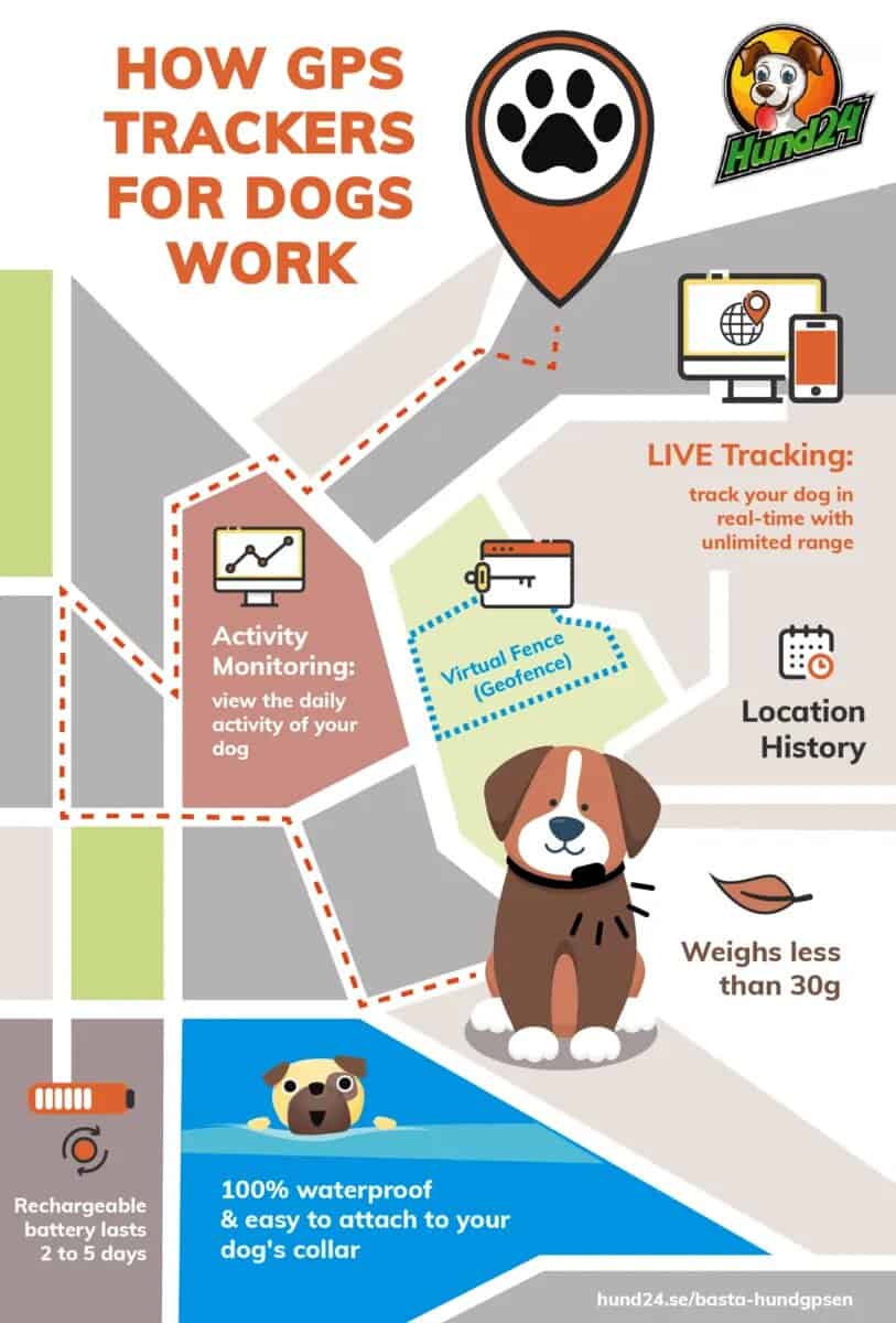 How GPS Trackers for Dogs Work