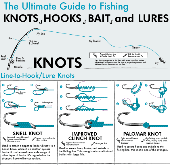 The Ultimate Fisherman's Guide to Knots, Hooks, Bait, and Lures infographic