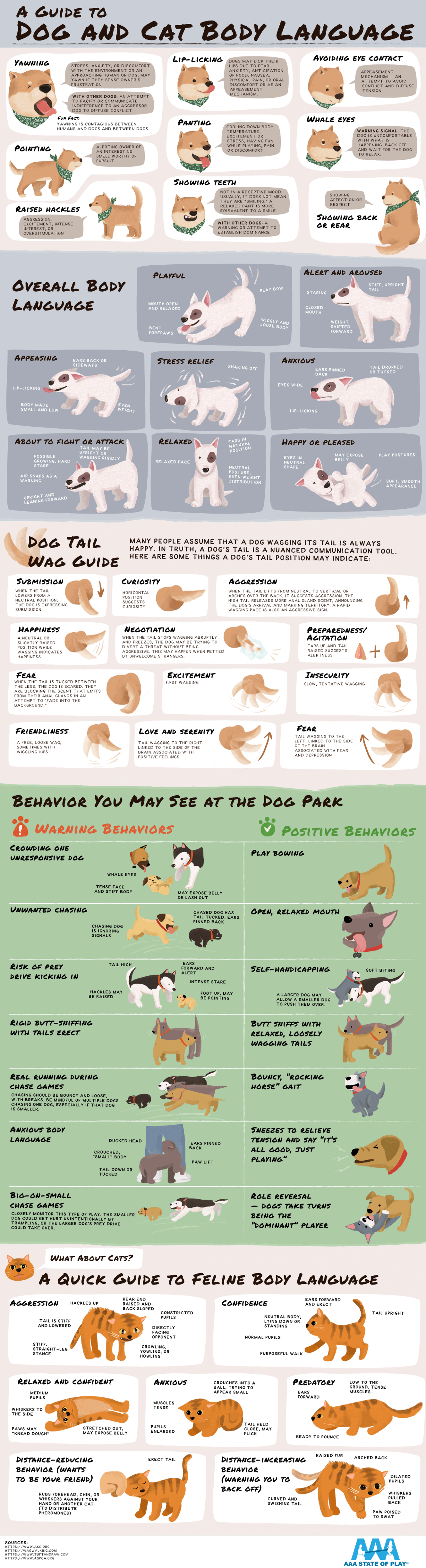 The Ultimate Guide to Cat and Dog Body Language
