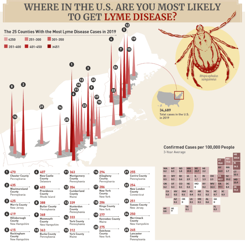 Most Likely to Get Lyme Disease in the U.S.-Infographic - Copy